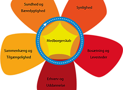 haderslev_planblomst_254.png