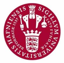 Københavns Universitet